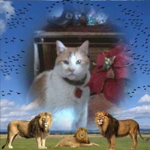 Meet your Posher, Jen